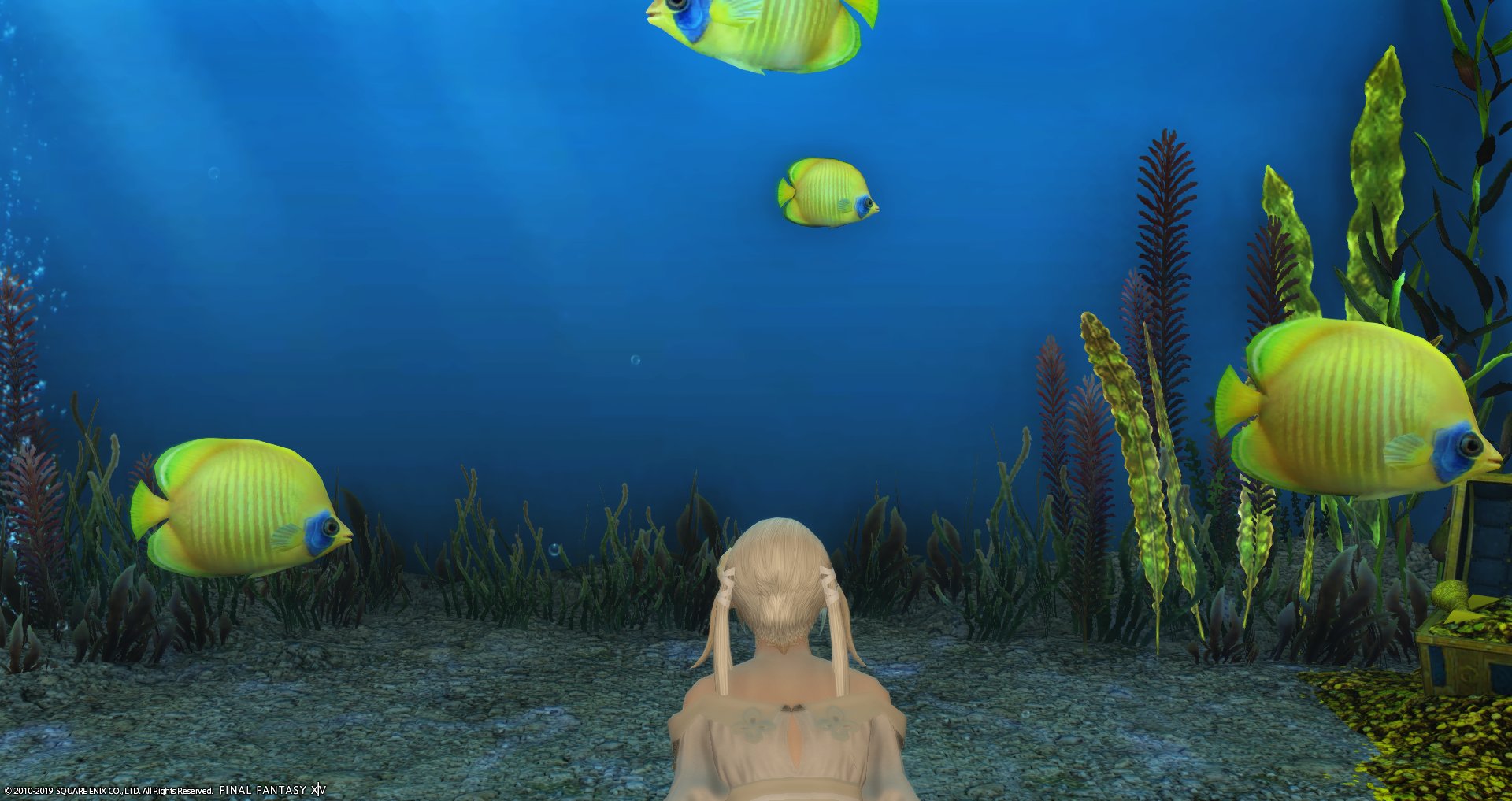 Uzivatel みうぶらう ぐんぐにる Na Twitteru いつも優しくしてくれるスクさんが 新しいお魚を見においでというのでお邪魔してきました 青 罪吐き 紫 ノーブルフィッシュ 新しいのじゃないけどおっきい黄色いの初めて見た ゴールデンフィン 頂いた罪吐きを Uzivatel みうぶらう ぐんぐにる Na Twitteru いつも優しくしてくれるスクさんが 新しいお魚を見においでというのでお邪魔してきました 青 罪吐き 紫 ノーブルフィッシュ 新しいのじゃないけどおっきい黄色いの初めて見た ゴールデンフィン 頂いた罪吐きを