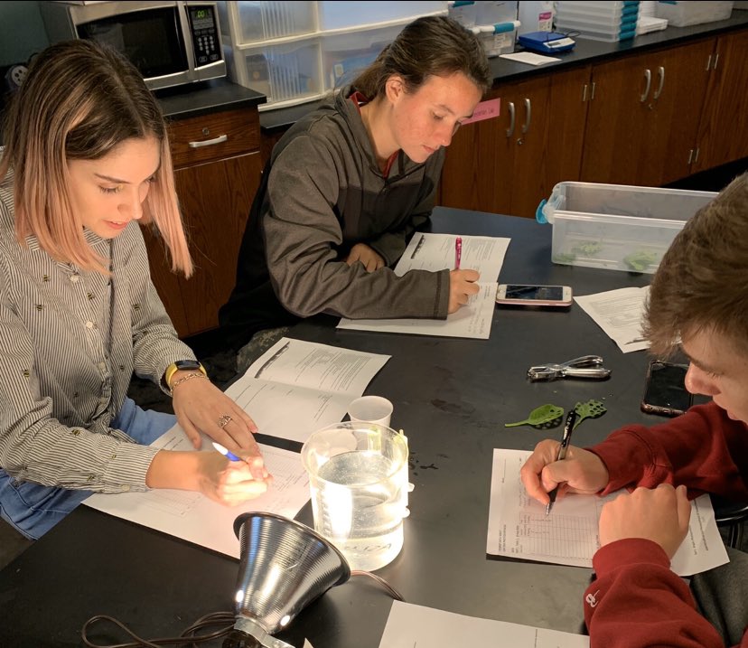 lisamclarkusa's tweet photo. these @BwoodPanthers were on point today with designing and testing variables to either > or < photosynthetic activity with #ALScienceInMotion M15LeafDisk lab & using #googlesheets to share data @tcss_schools @Alsim4all @UofARIC #pH #tonicity #lumens #wavelength #concentration https://t.co/ulFxyGDkEV