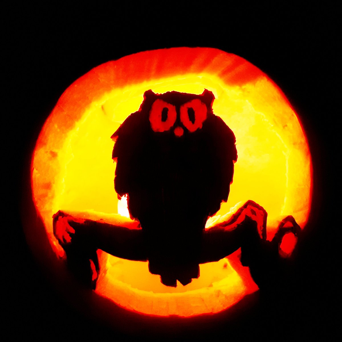 First time I've carved a pumpkin in 6 years. Happy Halloween! #halloween #pumpkincarving