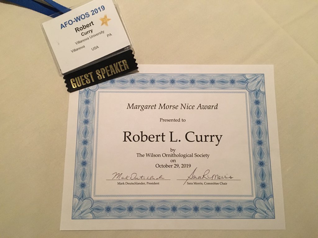 Bob_Curry's tweet photo. I got a thing. https://t.co/qHunceMPmM https://t.co/2HWGLzYdUk