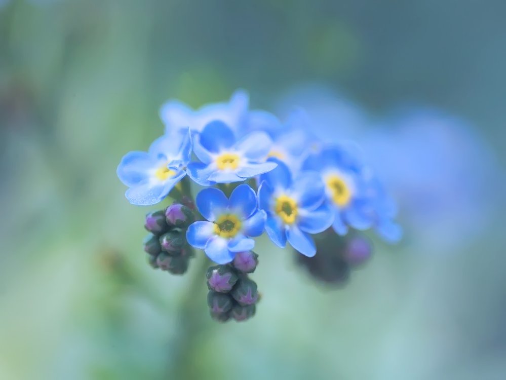 😍Happy Thursday 😍
💙💛💙💙❤️💙💙💛💙