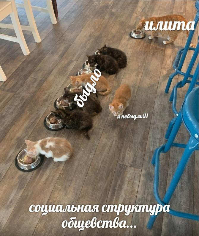 EILWQ-rWsAADRzG?format=png&name=900x900