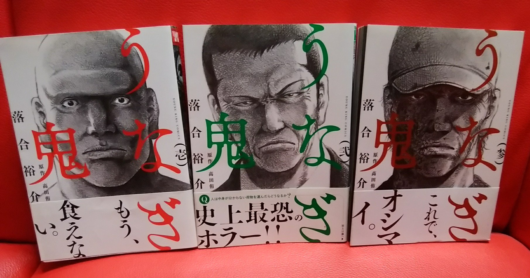 緑の五寸釘 落合裕介 うなぎ鬼 帯付き全巻セットがあったから思わず買ってしまった 小説が原作のホラー漫画は独特のテンポがある ここでは人間の死体を処理しているのでは という疑惑が悲劇へと繋がる大人のホラーです うなぎ食べたい ホラー漫画 緑の五寸釘 落合裕介 うなぎ鬼 帯付き全巻セットがあったから思わず買ってしまった 小説が原作のホラー漫画は独特のテンポがある ここでは人間の死体を処理しているのでは という疑惑が悲劇へと繋がる大人のホラーです うなぎ食べたい ホラー漫画