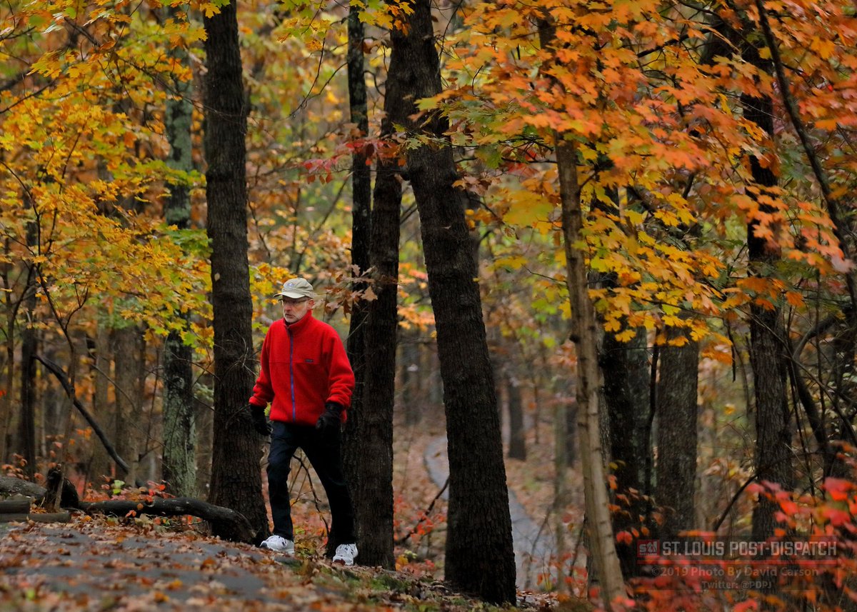 PDPJ's tweet photo. Photos: Bursting into the colors of fall https://t.co/0obXmtoC7Y via @stltoday https://t.co/hOG13hKlFb