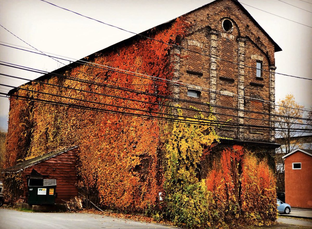 MastersRoth's tweet image. What a BEAUTIFUL Fall day!

#Fall #leaves #autumn #iPhonephotography #colors #godcreation