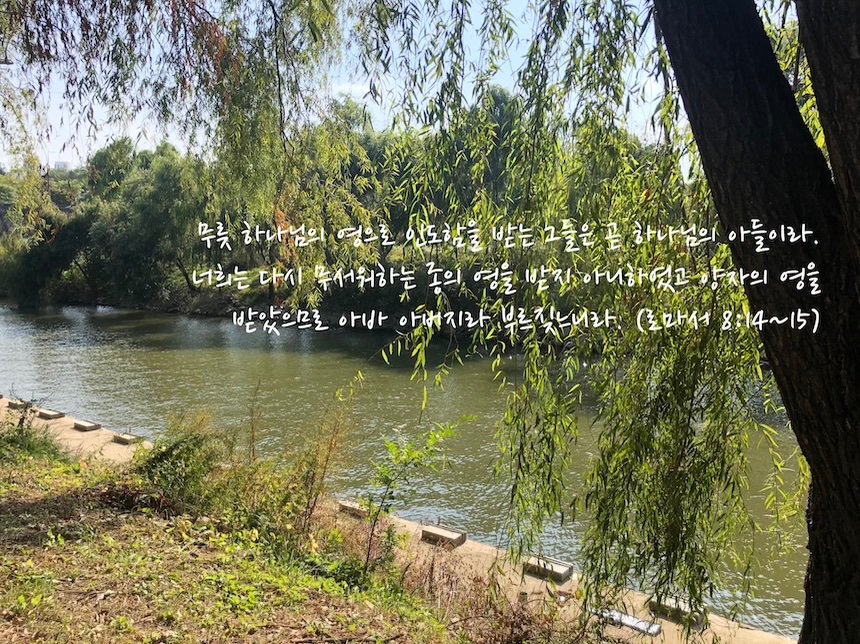 하나님은 남자가 아니다 - 성 중립적 표현에 관하여  로마서8:14~15