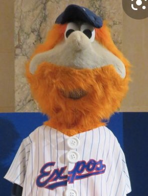 gasman206's tweet photo. Somewhere in a seedy bar in Montreal, Youppi! is buying another shot and trying to convince people. “I’m telling you. I used to be their MASCOT!!!” https://t.co/m9yUcPJ86e