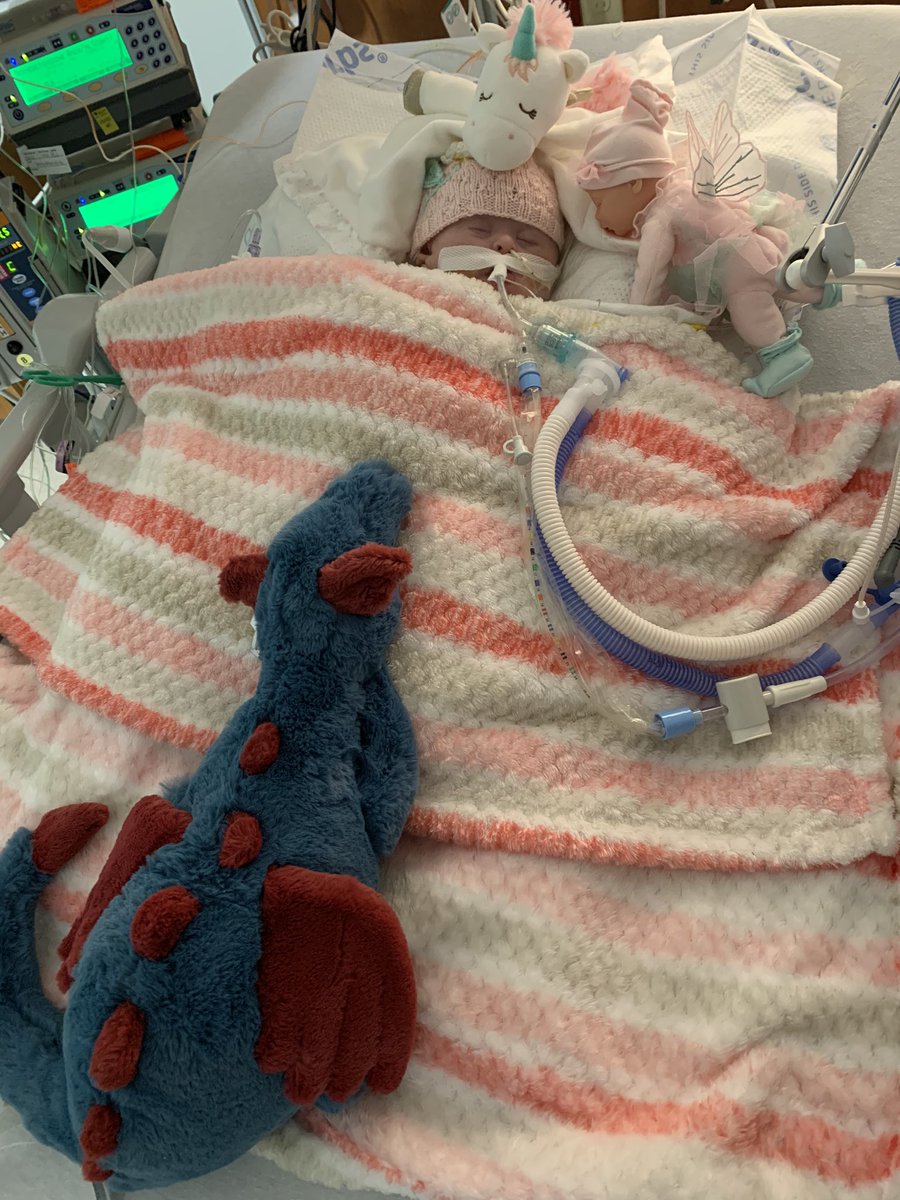 Finally after a whole month today Dad and Mom got to hold baby Chloe. Update and more pictures in link below. 

#downsyndrome #ECMO #ARDS #chemo #StolleryChildrensHospital #Gofundme #Chloe

gofundme.com/2jazxk-helping…