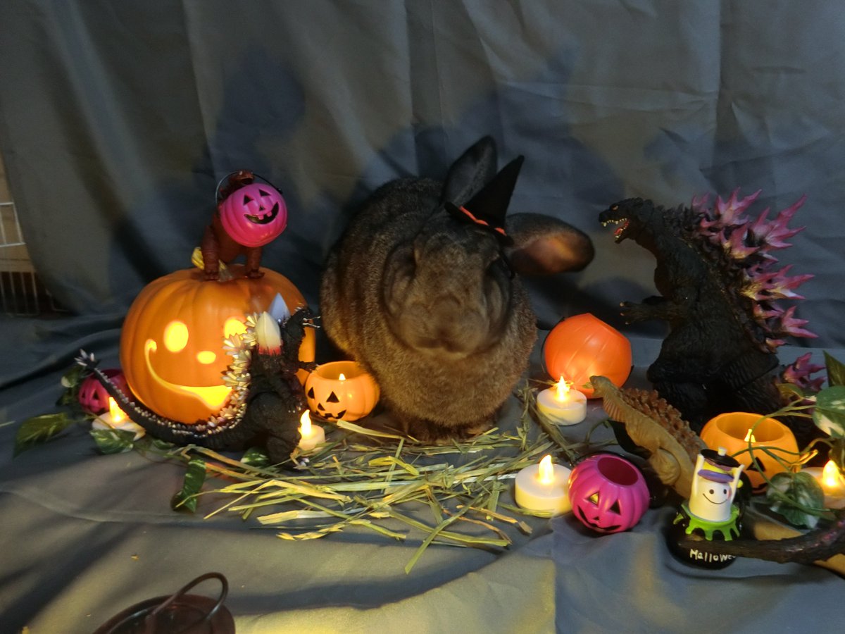 Happy Halloween! for today, Jabba the Witch summoned her monsters