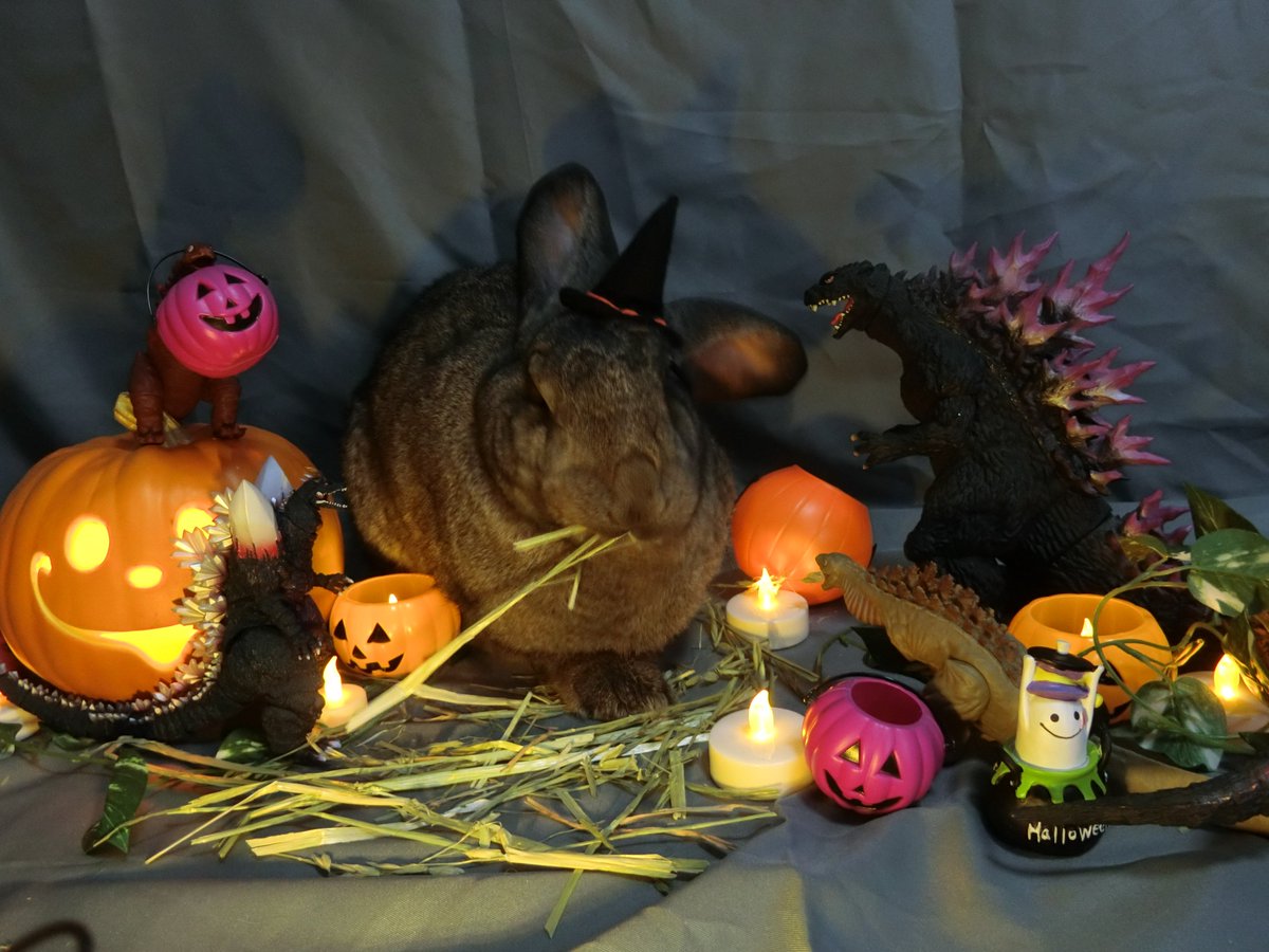 Happy Halloween! for today, Jabba the Witch summoned her monsters