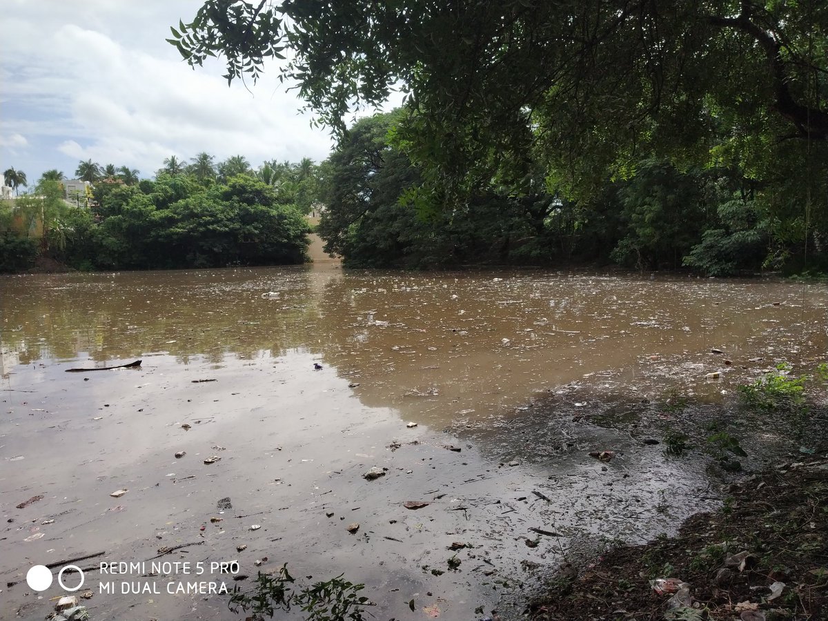 dharunkumaran's tweet image. நிரம்பியது குளங்கள் மட்டுமல்ல எங்கள் மனமும் தான்!!!

@Tr_Gayathri @rajakumaari @DocArunt @SubColl_Pudcy @gvprakash