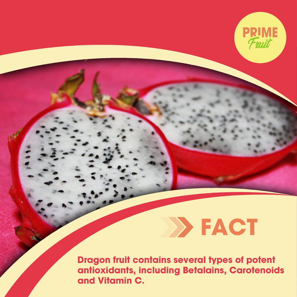PrimeFruitUAE's tweet photo. Did you know that eating dragon fruit with its rich antioxidants can keep the skin tight and young?
Antioxidants work by neutralizing free radicals, thus preventing cell damage and inflammation.
.
#PrimeFruitUAE #FreshFarmFruit #FreshProduce https://t.co/FpEdJW5ncd