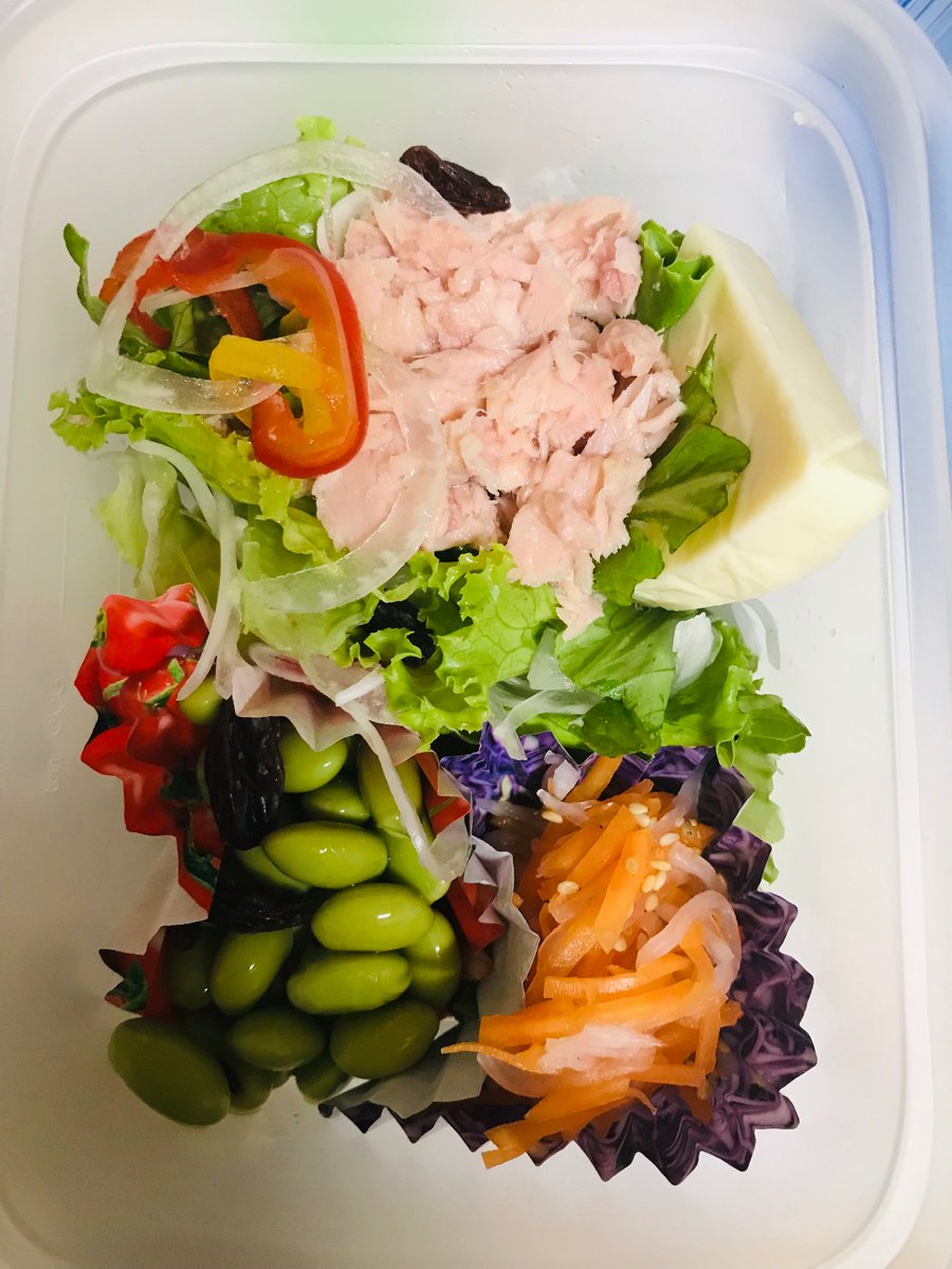 高校生のダイエット弁当