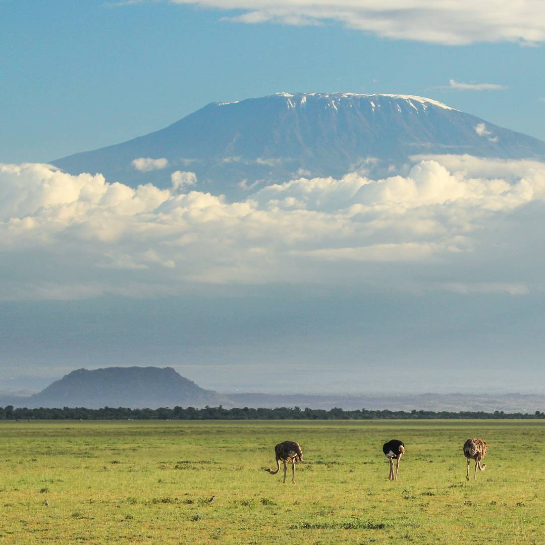 LIFE is a MAGICAL journey, so TRAVEL ENDLESSLY to UNFOLD it's PROFOUND and heart TOUCHING BEAUTY. 
#ThisIsMyKenya 🇰🇪 🇰🇪 🇰🇪
#WhyILoveKenya 🇰🇪 🇰🇪 🇰🇪
#TembeaKenya 🇰🇪 🇰🇪 🇰🇪