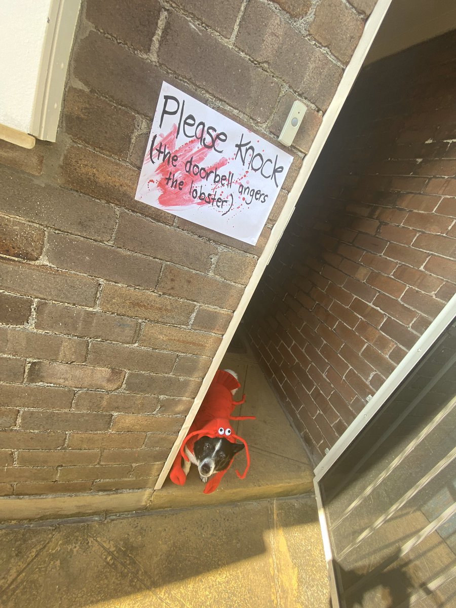 Kim Sutton (@kmsttn) on Twitter photo 