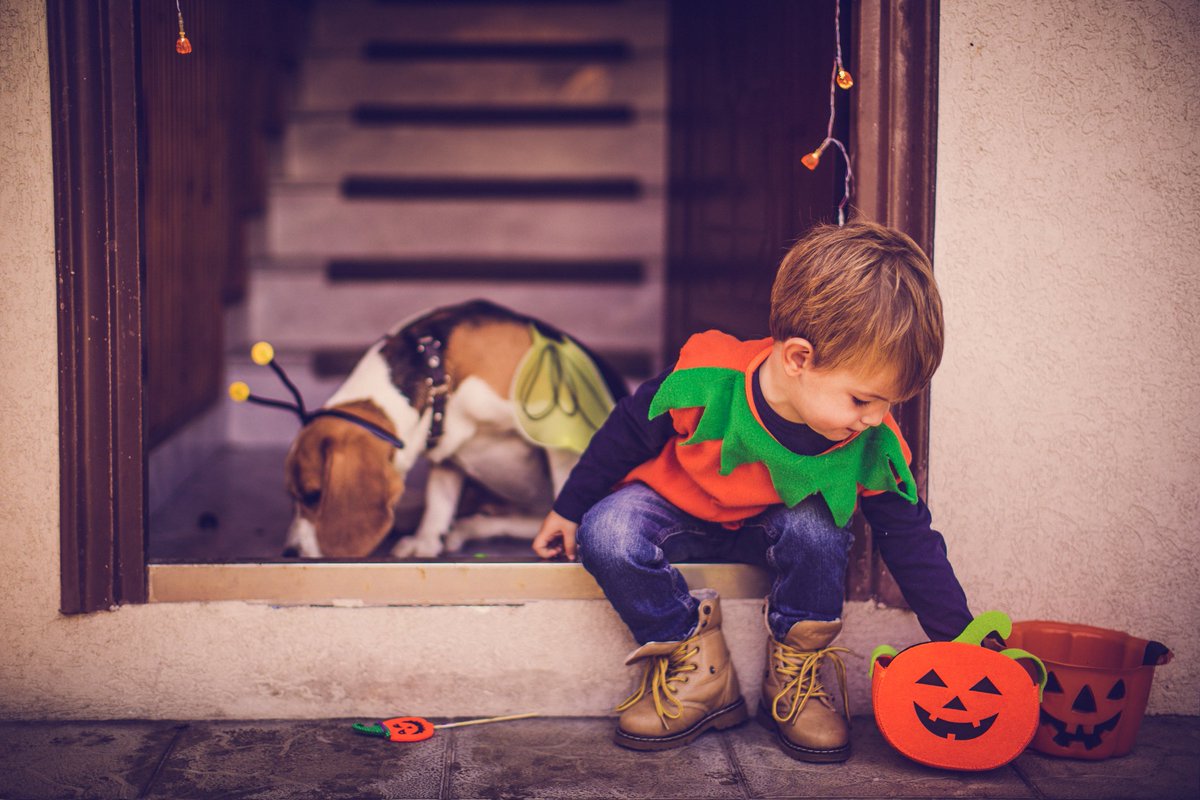 Counterclean's tweet photo. #trickortreat smell my feet give me something good to eat! Our probiotic cleaners are #kid safe and #pet safe and the work hard to get your home clean in a snap so you can enjoy #sweettime trick or treating with your #goblins, ghouls, and bumble bees this #Halloween. https://t.co/AT1JaB0aCT
