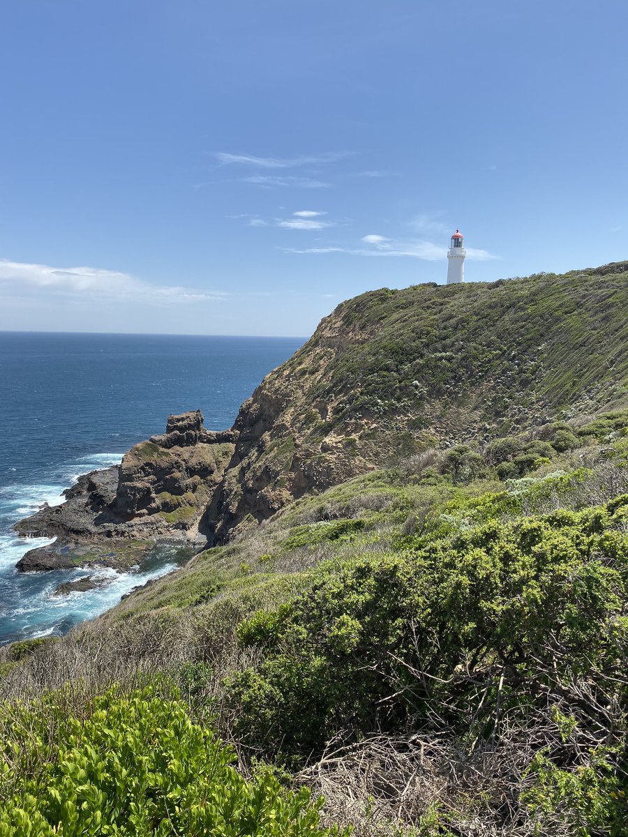 loranm73's tweet photo. Amazing day in Australia! #capeshanck https://t.co/QVbYQ93lFf