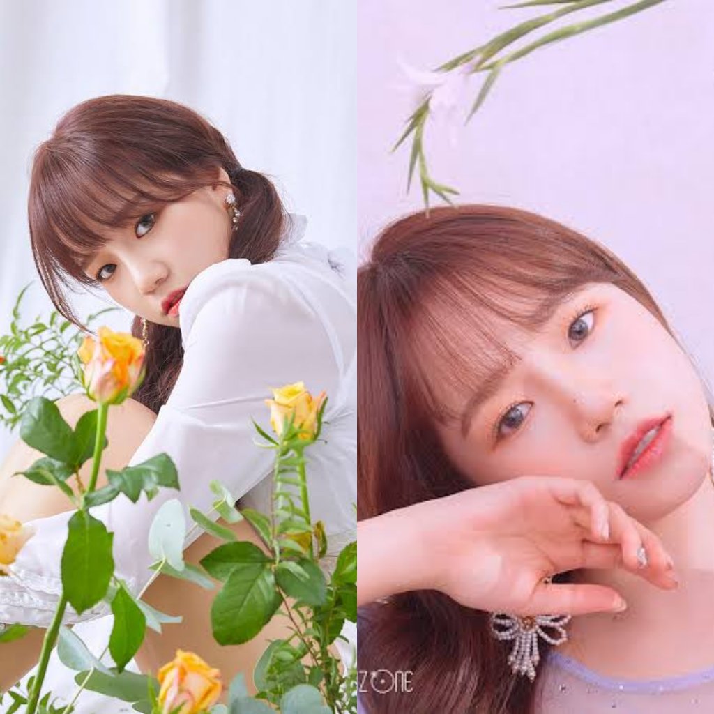 ultsoori's tweet photo. yuri was meant to be with flowers to walk on a flowery path 💐🌹🥀 https://t.co/CWCEs7Mn7N