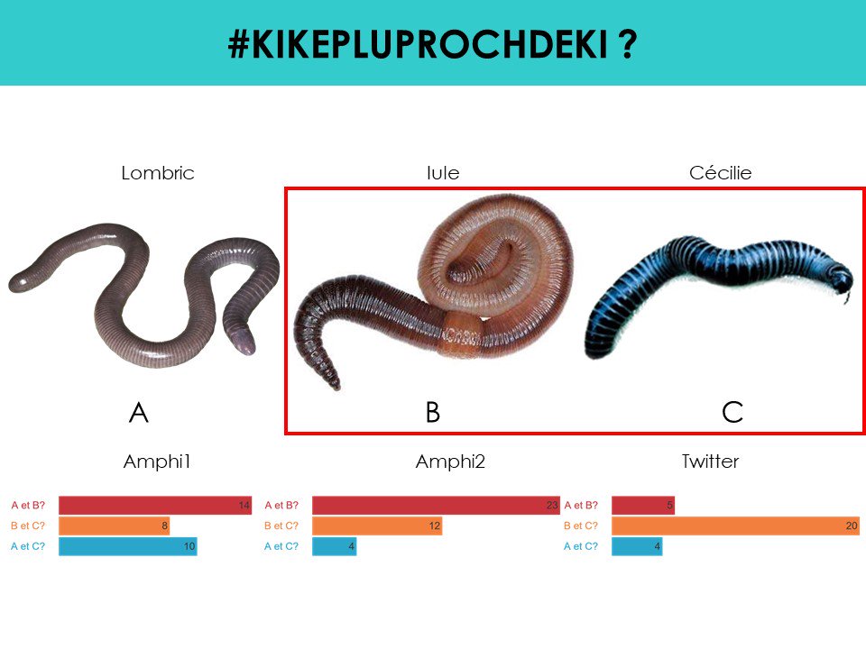 pierrekerner's tweet photo. Des résultats très intéressants comparant les réponses des deux amphis suivant #L1BioP7 et de mes followers suivant #1SourisDansLAmphi pour répondre aux quizzs #KIKEPLUPROCHDEKI de la semaine! https://t.co/T84Ql5zuoy