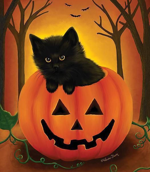 Happy Halloween 🎃 dear friends. xxx 🎃🌻🎃🌻🎃🌻🎃🌻🎃🌻🎃