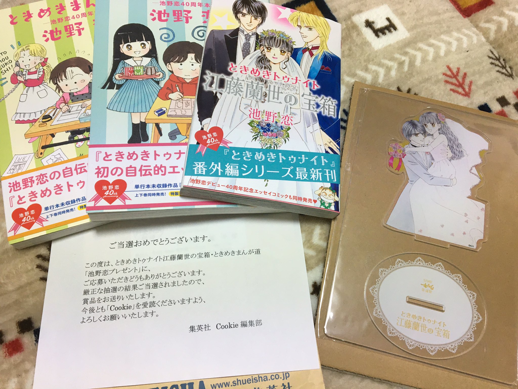 池野恋先生 ときめきトゥナイト漫画 Tamoionet Com Br