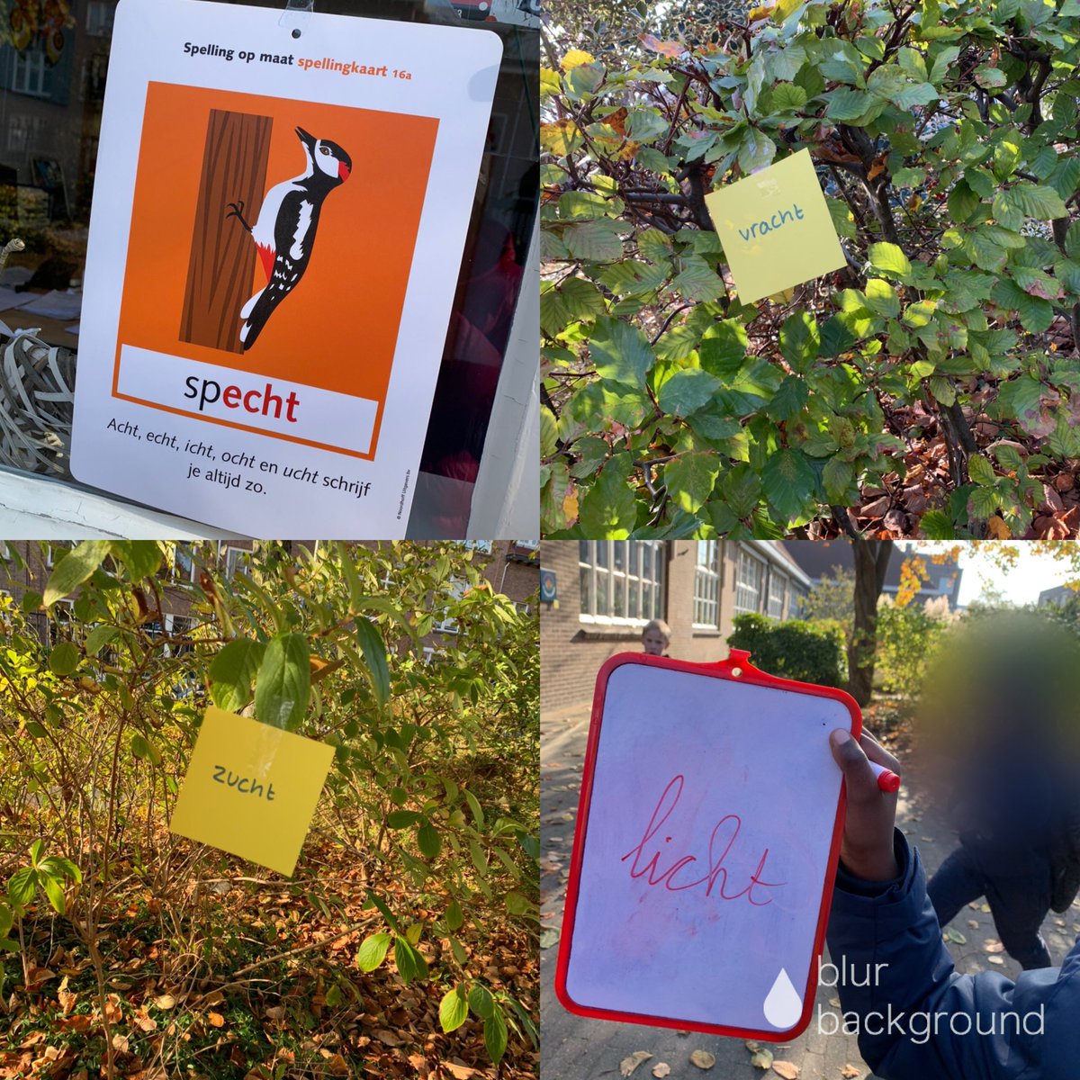 Irenesport's tweet image. Spelling buiten, ik hou ervan (en de kinderen gelukkig ook)! #zijinstroom #pabo #speciaalbasisonderwijs