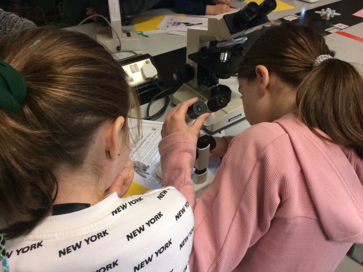 Cell EXPLORERS tweet media