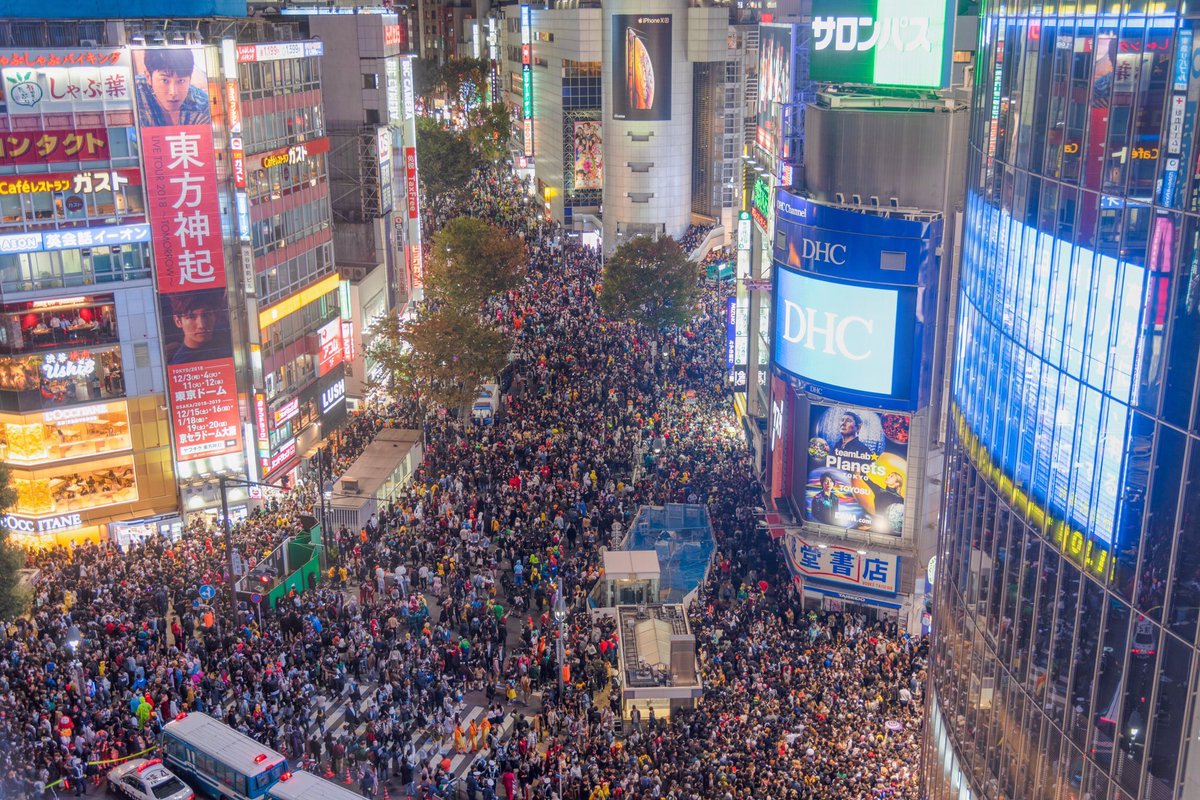 中洲で泣かす🐝 tweet media