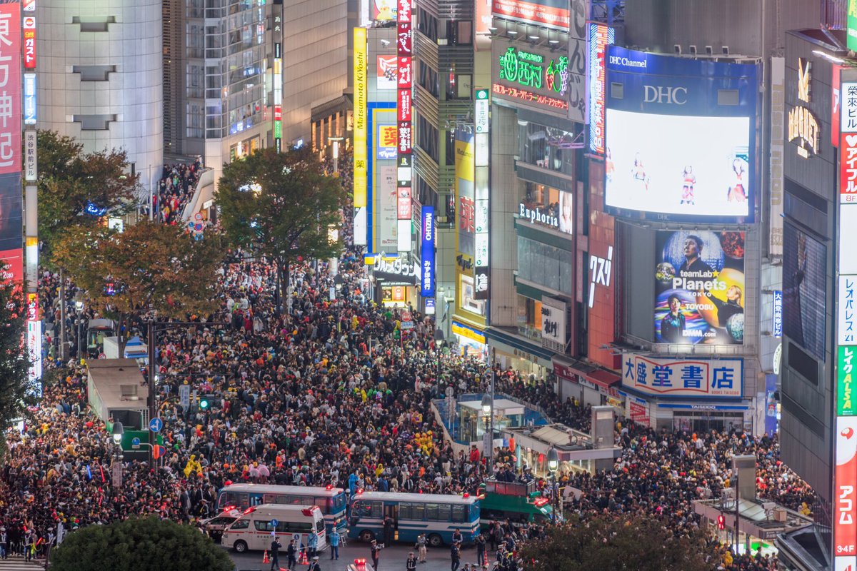 中洲で泣かす🐝 tweet media