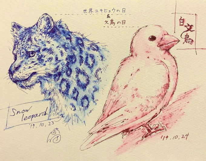 雪豹と白文鳥

#Inktober2019 #Inktober 