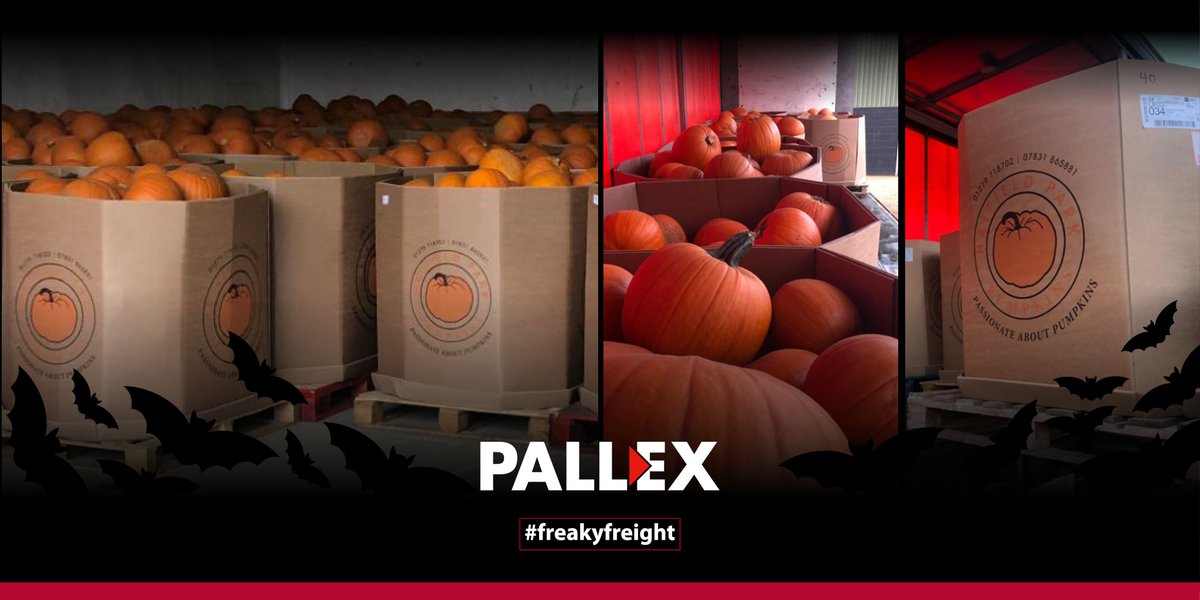 We have had some freaky freight going through our network, from <a href="/K2Transport/">K2 Transport</a>. Find out more about our spookily good services here: pallex.co.uk/quality-servic…

Happy Halloween! #teamplx #ThursdayThoughts #halloween2019