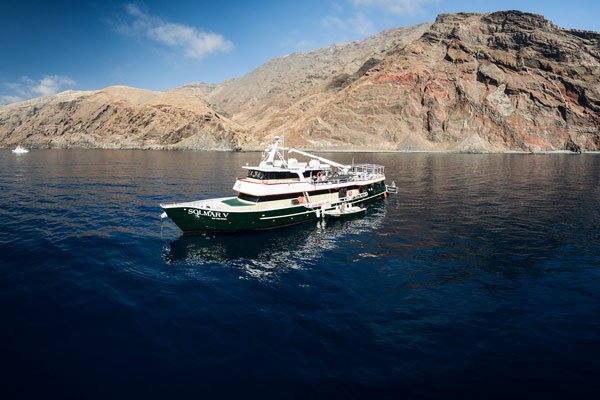 _liveaboards_'s tweet photo. Special Deal 30% Discount for #SolmarV trip to Socorro Island!
3 space left only, departure on 1st November 2019.
What are you waiting for, book now!
https://t.co/g0r0SbTa0w https://t.co/GAKCSGTS26