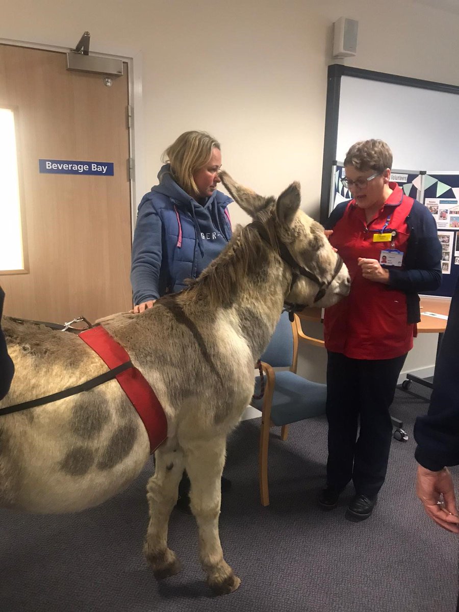 Angela Lloyd tweet media