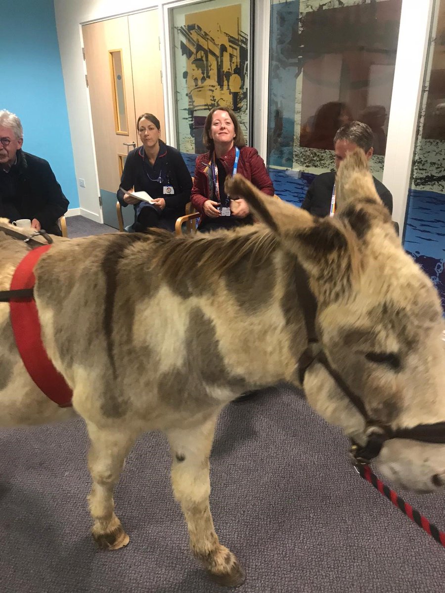 Angela Lloyd tweet media