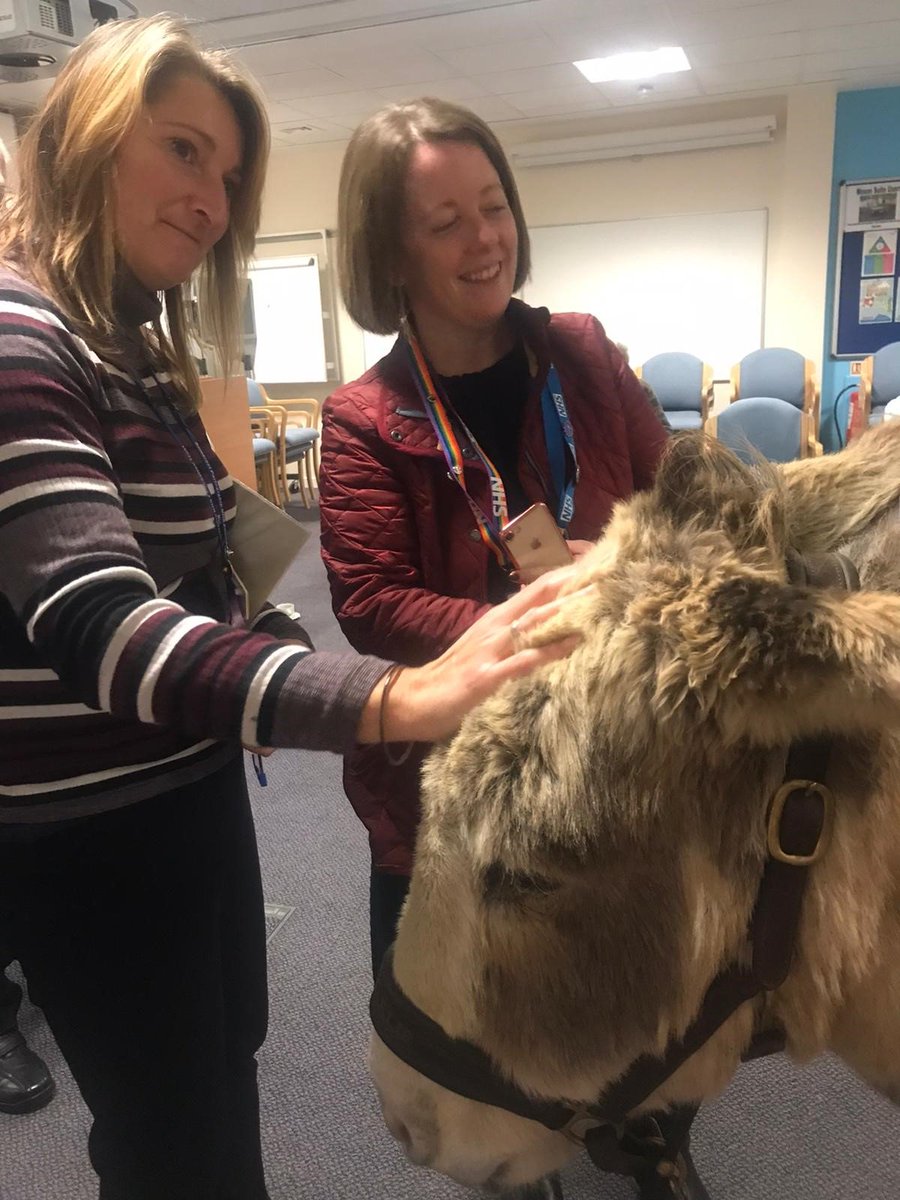 Angela Lloyd tweet media