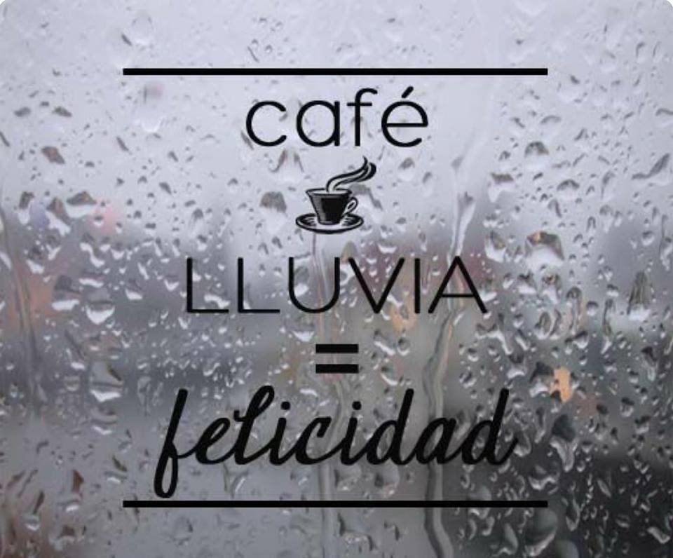 Os traemos una formula perfecta, para este puente lluvioso que está ya al caer. Es aún mas efectiva, cuando le añadimos a la ecuación un buen libro.

#Café + #Lluvia = #Felicidad

#FelizPuente #Coffeelovers #EstamosDeBuenCafé