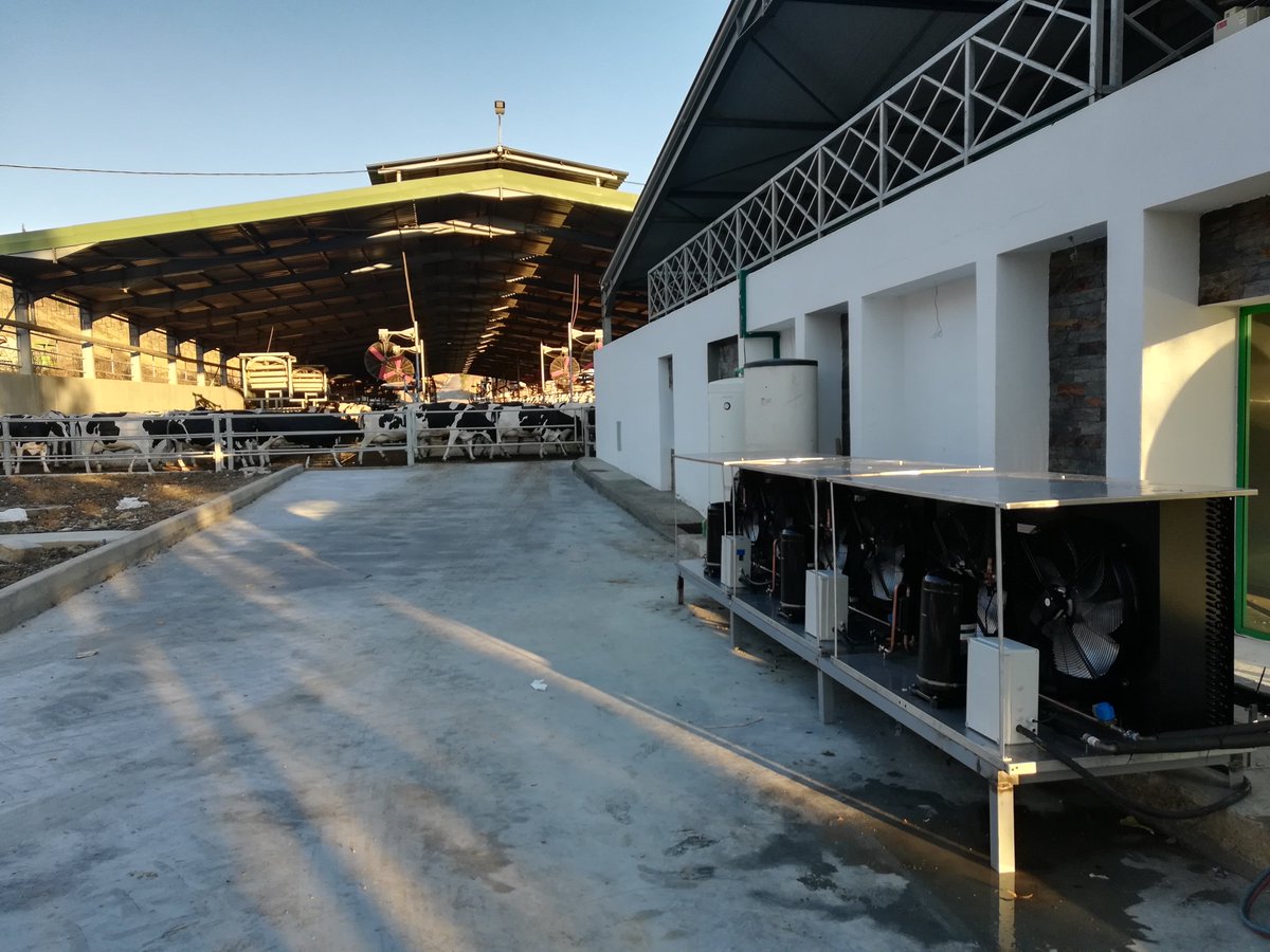 GalacteaG's tweet photo. Le tank FSEC de 25000 litres est bien arrivé au Maroc et son installation par nos services a été un succès ! Le second devrait suivre dans la foulée. Bravo à toute l'équipe de Nevinox https://t.co/8CV7pcB78o
