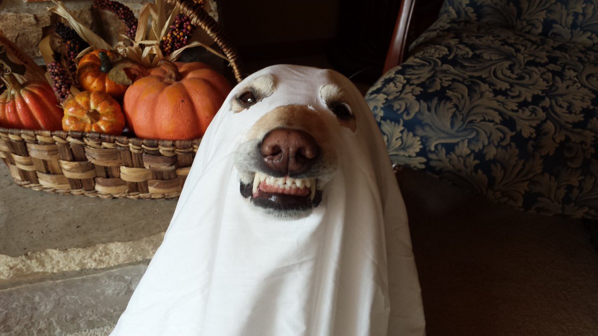 Just det, det var ingen som hade klätt ut sig på jobbet förra året heller! 😳 #halloween #tjänstehen4life