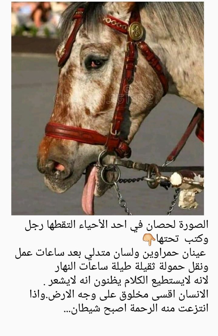 raraama2's tweet photo. هذا ما يحدث عندما يحكم البشر 💔 https://t.co/P4j2LwrbcG