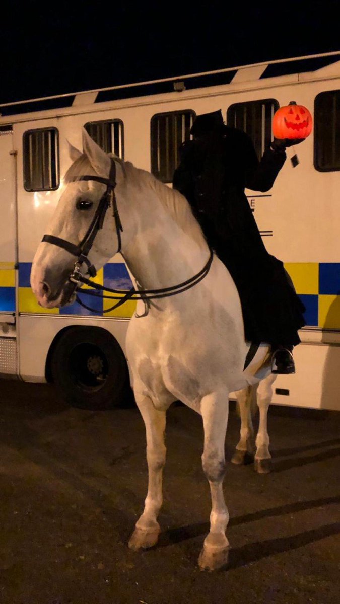 We thought it was just an urban myth.....but we had a very spooky visit to the yard in the early hours of the morning from the headless mounted officer! He had obviously heard how well behaved Silver was! #StandTall #PHSilver #Halloween #SpookyGoingsOn #DontWorryWeGotSilverBack