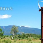 ツイートに含まれる画像