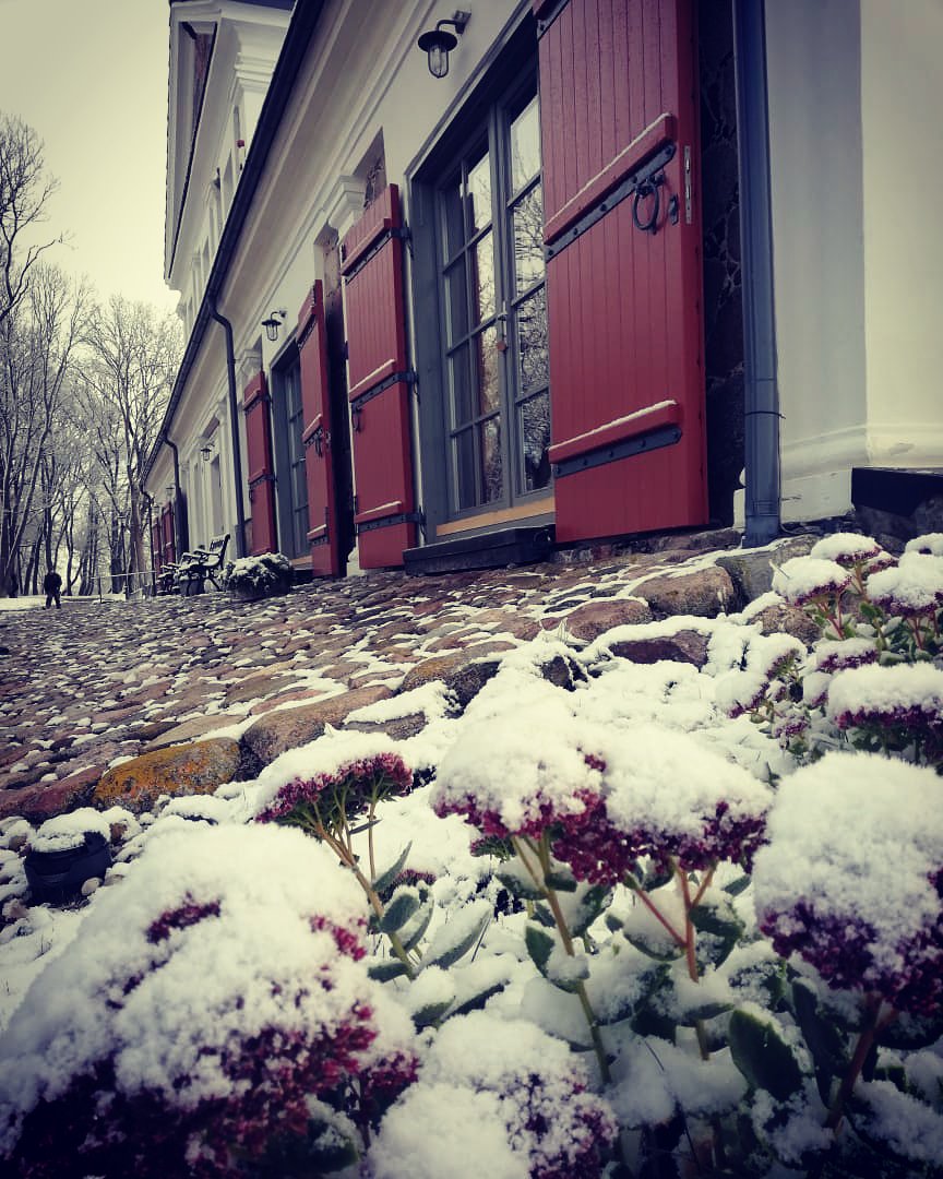 visitignalina's tweet photo. #winteriscoming to #ignalina 🤩❄️❄️❄️ https://t.co/1hfeWVfKzC