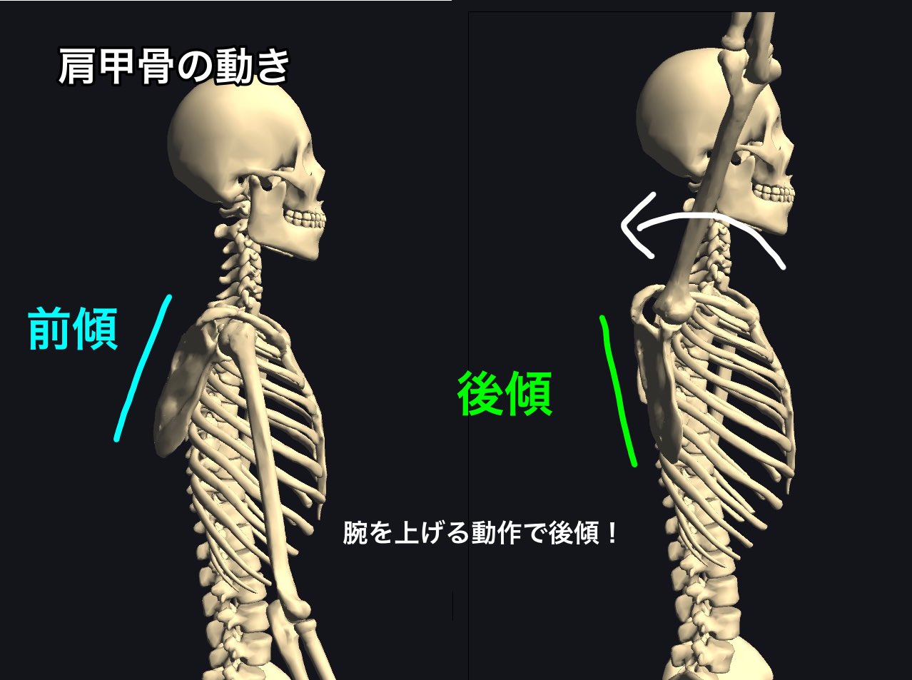みつやま コンディショニングトレーナー در توییتر 肩甲骨の後傾ってあんまり話題に上らないけど バンザイの動作で引っかかりがあるときってこの動きに問題があることが多い 家でできる後傾エクササイズ タオルでオーバーヘッドプレス 肩関節2nd Position での外