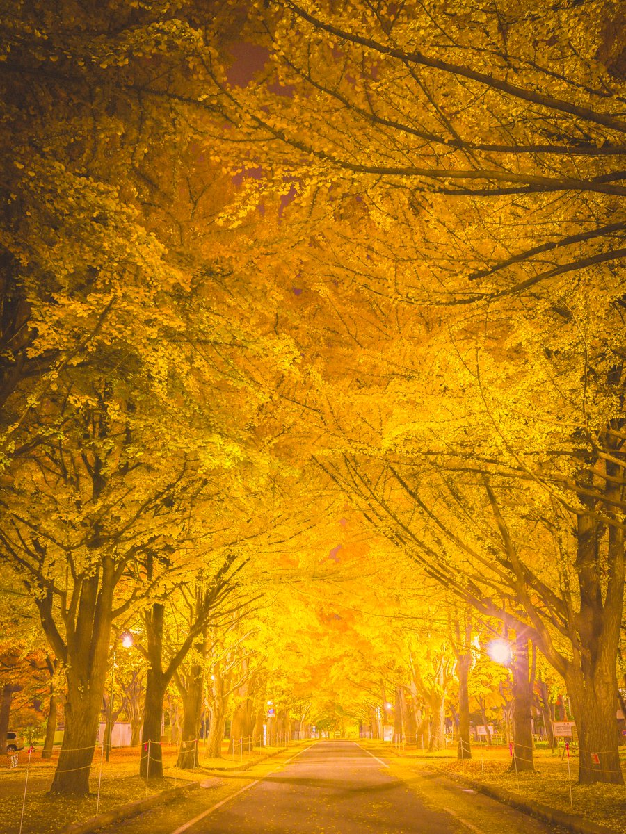 北海道観光協会