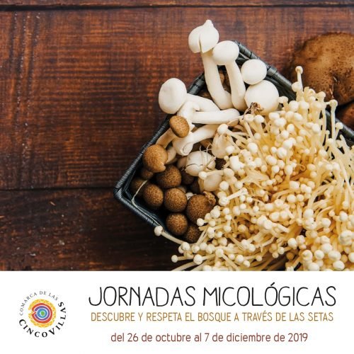 VUELVEN LAS JORNADAS MICOLÓGICAS 2019 🍄🍂
Este fin de semana: 1 de noviembre (Lobera de Onsella), 2 de noviembre (Isuerre y Fuencaderas). 
Próximo 9 noviembre (Luesia y Bagüés), 16 noviembre (Uncastillo, Sos del Rey Católico, Biel y Longás)... más info: comarcacincovillas.es/wp-content/upl…