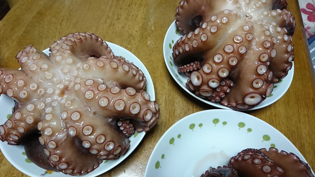 岩本兄弟チャンネル 岩本博行 染吾郎 おし 今日仕事休みだったから釣り行ってきたよ 釣果は9杯 生ダコとゆでダコ作ったね 茹でる時 茹で すぎると固くなっから気を付けて 半透明位がok 真っ白になるまで茹でないように 赤くなるまで茹でたら固