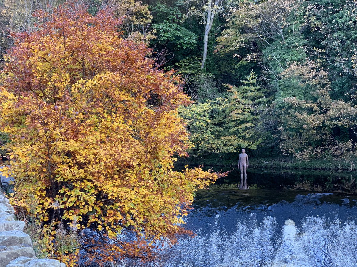 SonicWhirls's tweet photo. The #Edinburgh #Hibernators got there in the end. The @macmillancancer #robroy #mightyhike was cancelled in August, so last weekend Jacqui and I walked the @WOLCT #waterofleith from the Shore to Balerno and back again, raising ยฃ1700 in the process. https://t.co/j8P9k4CEHY
