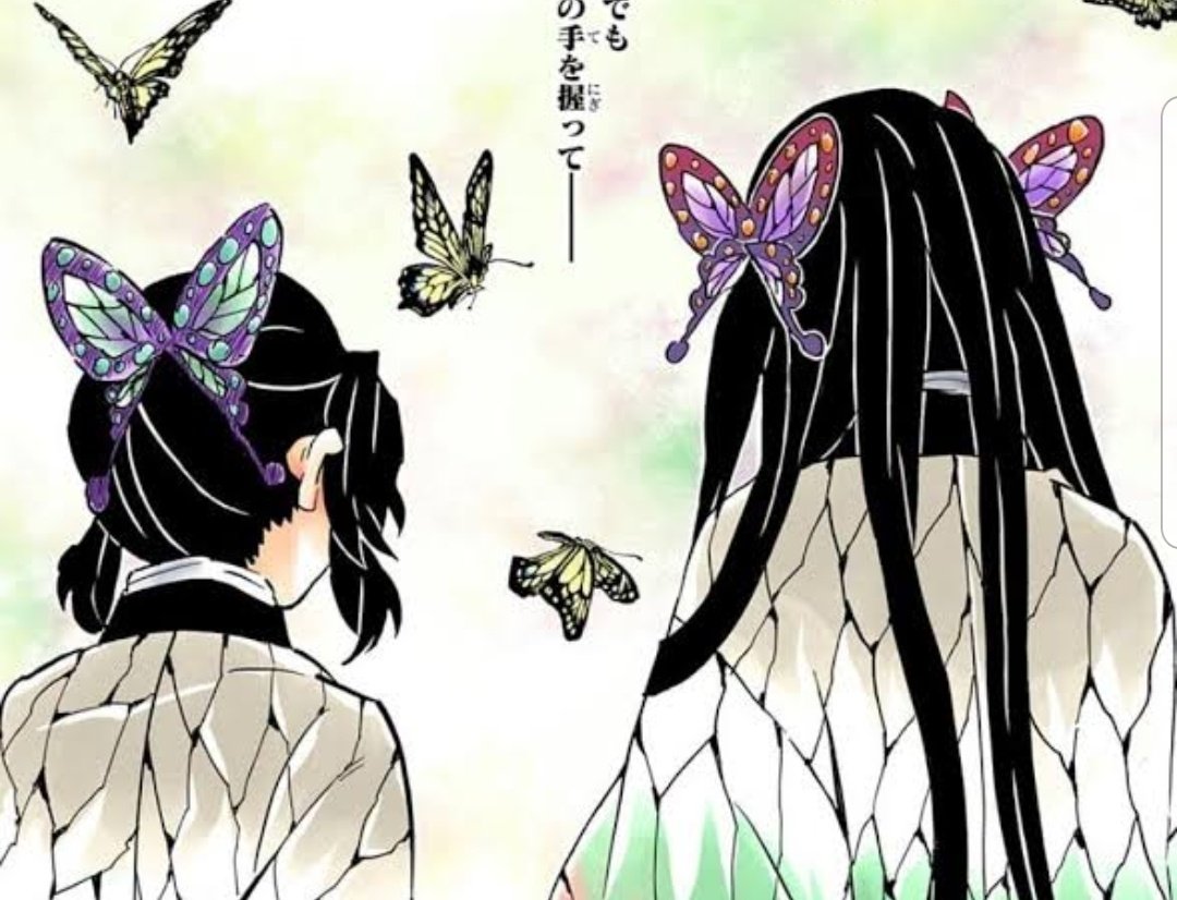 胡蝶カナエ Kotyou Kanae Twitter