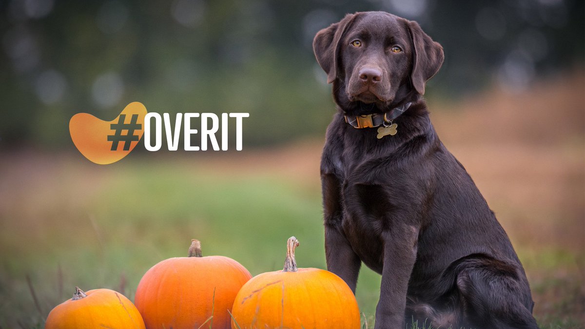 Feeling a bit over it when it comes to book-keeping? 
We can help. 
#HappyHalloween2019  #BeansAccountants