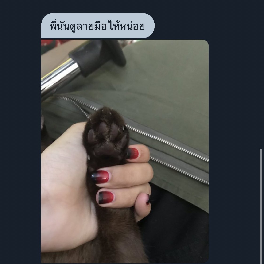 pachat 𐙚 tweet media